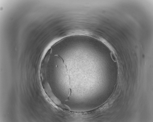 X0000087551104200705041321