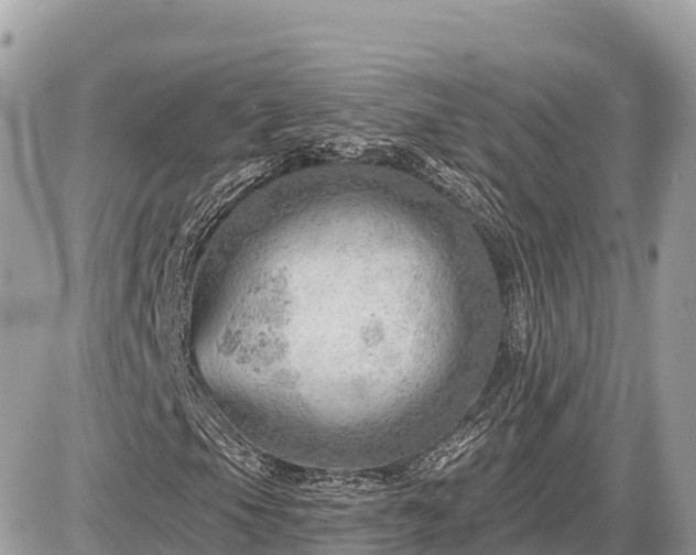 X0000087551105200705041321