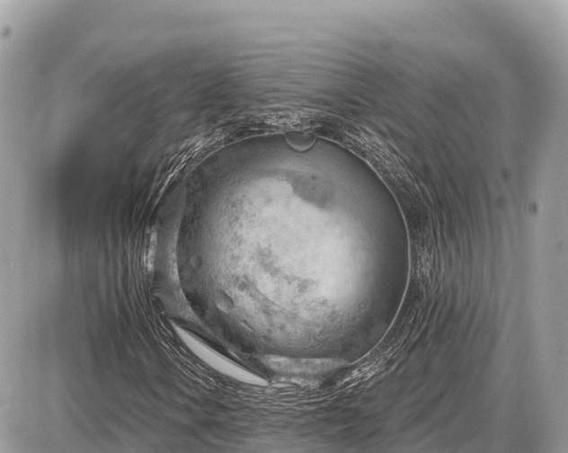 X0000087551106200705041321