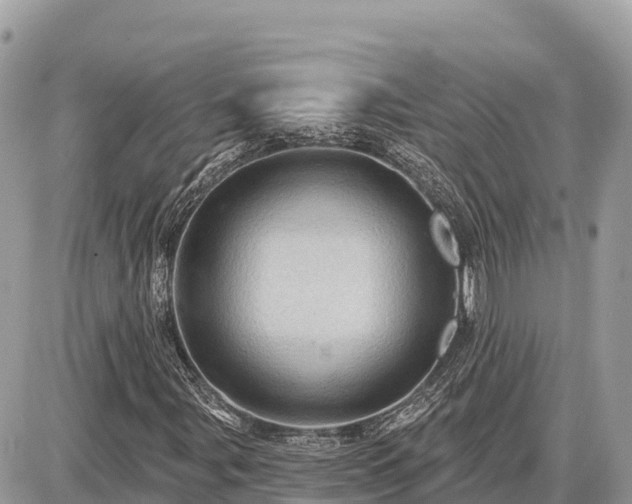 X0000087551107200705041321