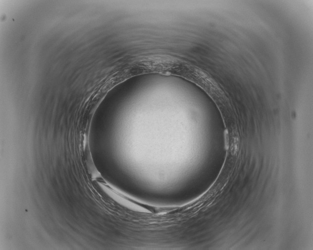 X0000087551108200705041321