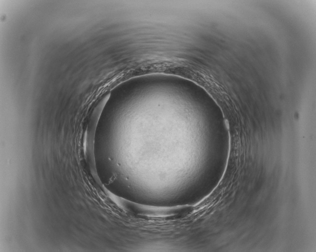 X0000087551109200705041321