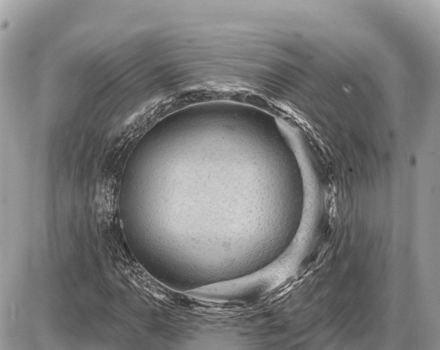 X0000087551110200705041321