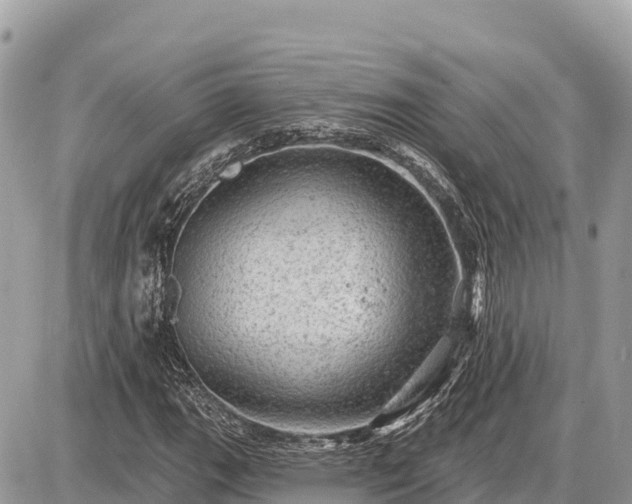 X0000087551111200705041321