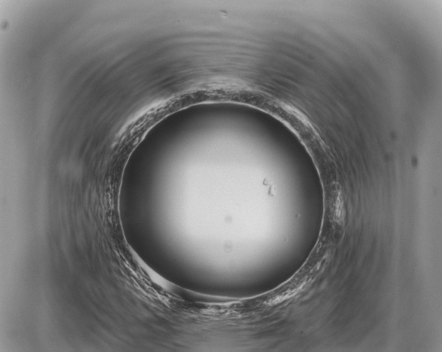 X0000087551112200705041321