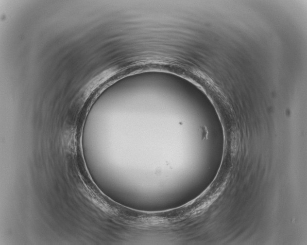 X0000087551113200705041321