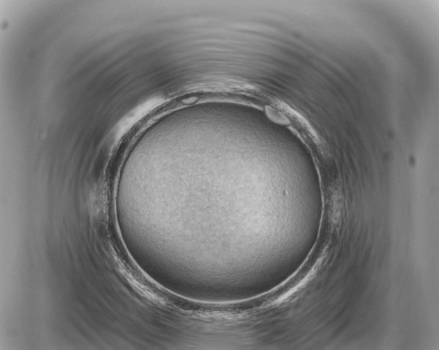 X0000087551114200705041321