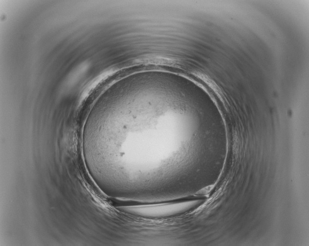 X0000087551115200705041321