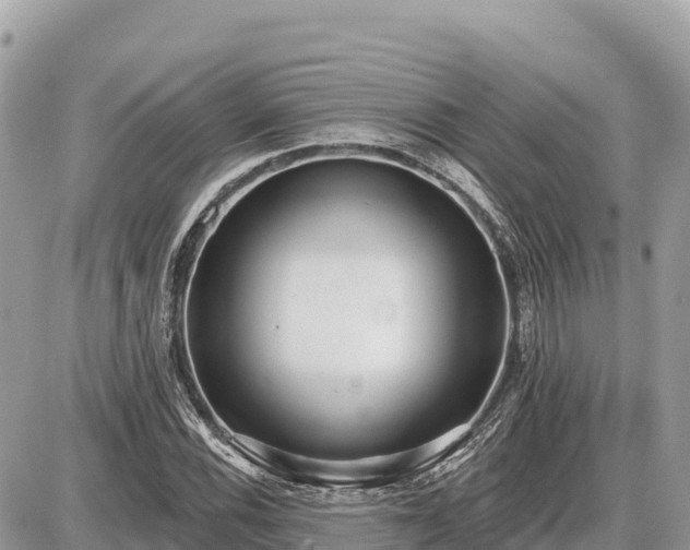 X0000087551116200705041321