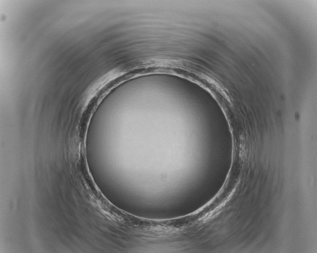 X0000087551117200705041321