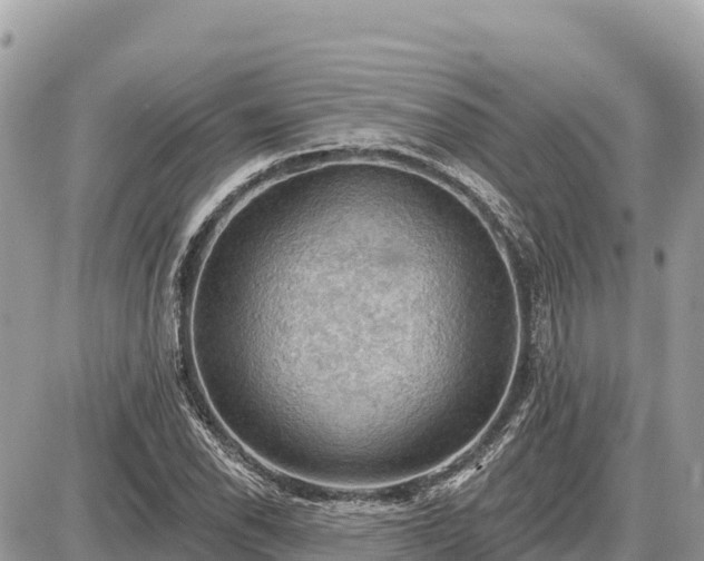 X0000087551118200705041321