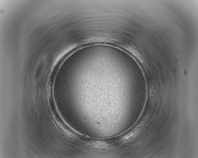 X0000087551119200705041321