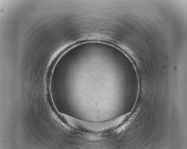 X0000087551120200705041321