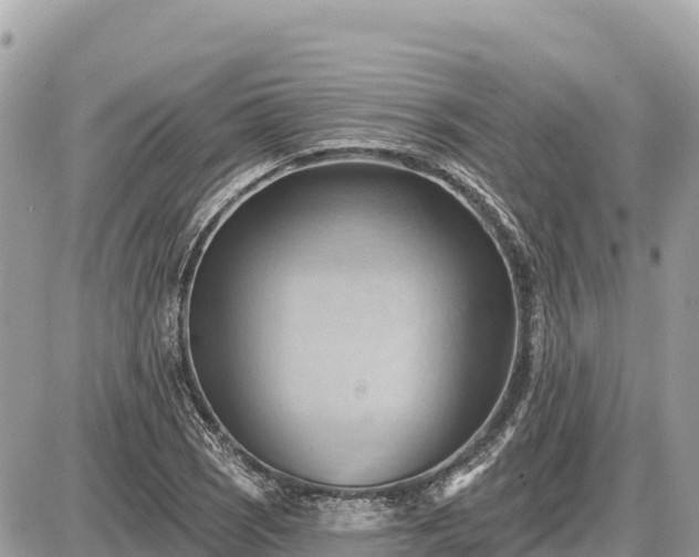 X0000087551121200705041321