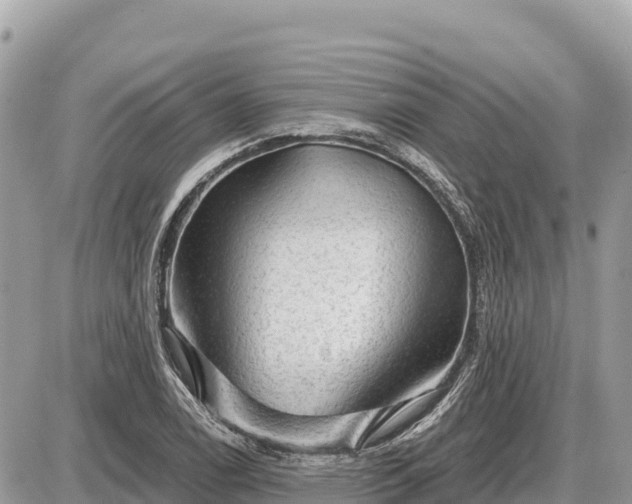 X0000087551122200705041321