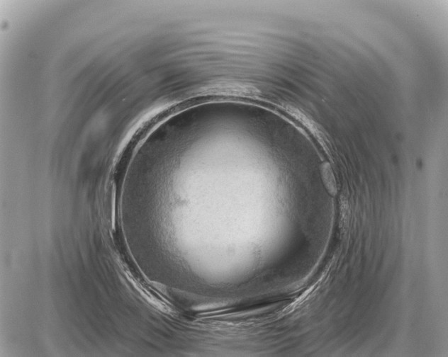 X0000087551123200705041321