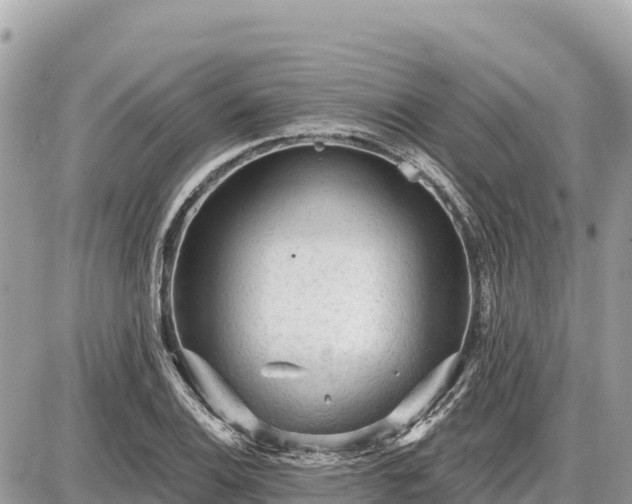 X0000087551124200705041321