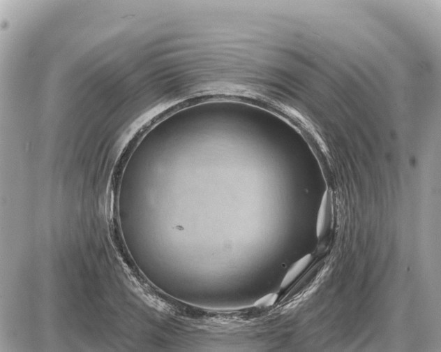 X0000087551125200705041321