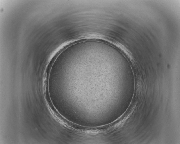 X0000087551126200705041321