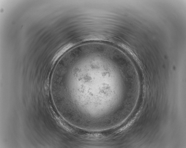 X0000087551129200705041321