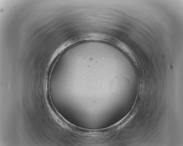 X0000087551130200705041321