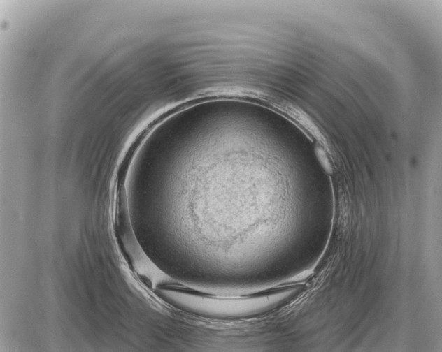 X0000087551132200705041321