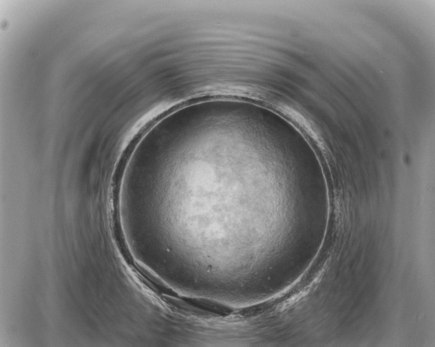 X0000087551133200705041321