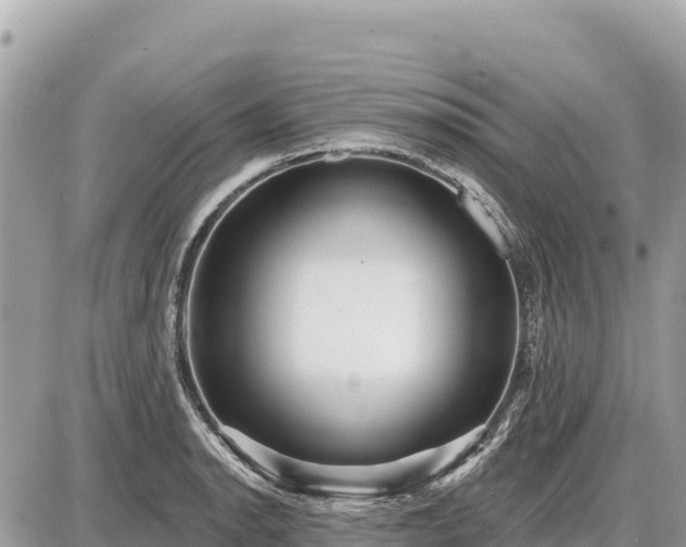 X0000087551134200705041321