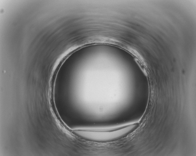 X0000087551136200705041321