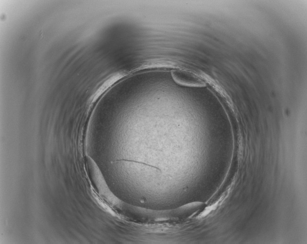 X0000087551137200705041321