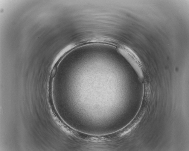 X0000087551138200705041321