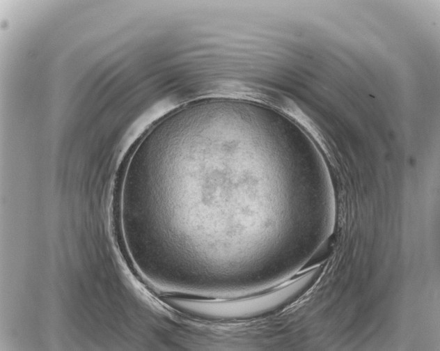 X0000087551139200705041321