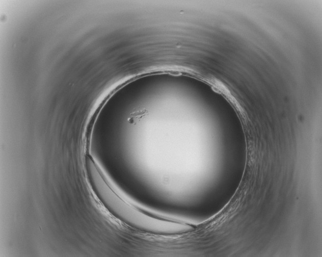 X0000087551140200705041321