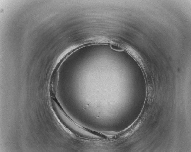 X0000087551141200705041321