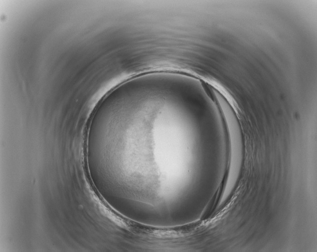 X0000087551142200705041321