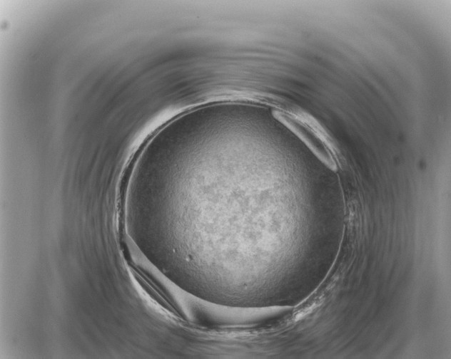 X0000087551143200705041321