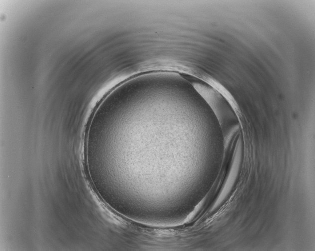 X0000087551144200705041321