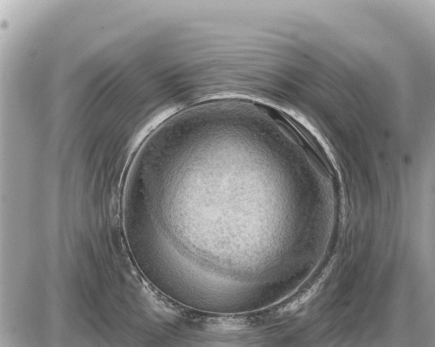 X0000087551145200705041321