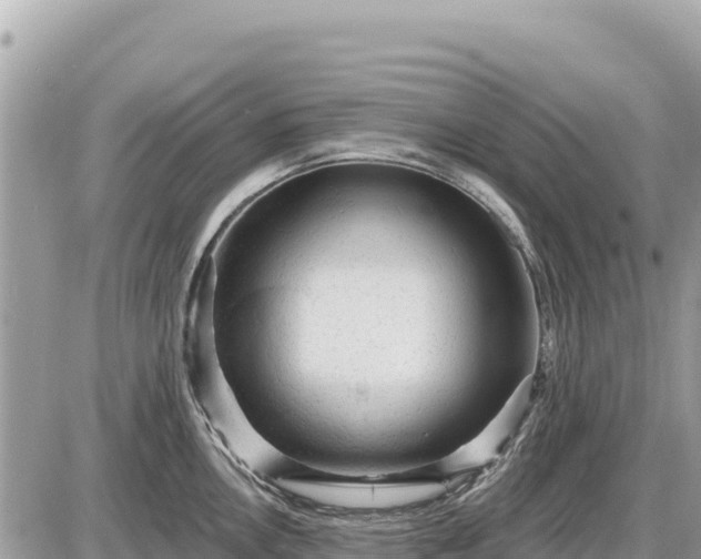 X0000087551146200705041321