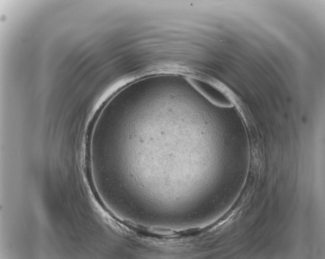 X0000087551147200705041321