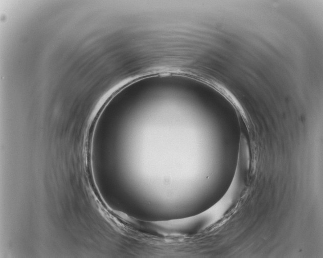 X0000087551148200705041321