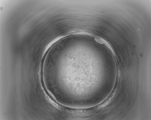 X0000087551149200705041321