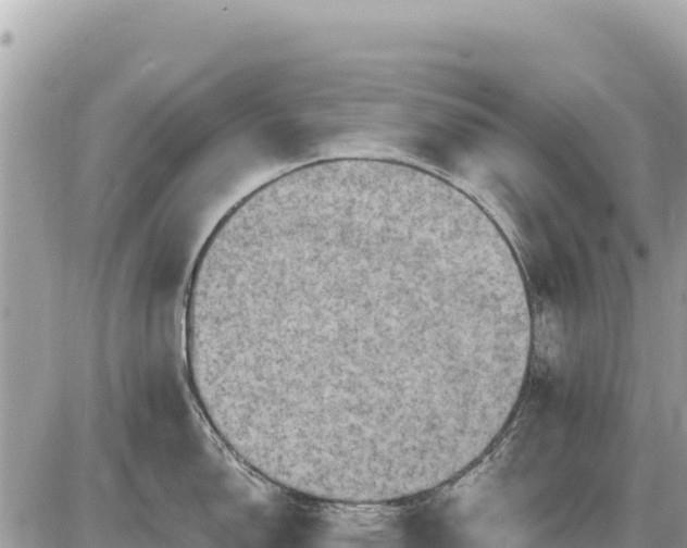 X0000087551150200705041321