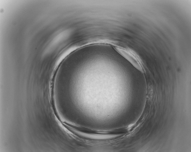 X0000087551151200705041321