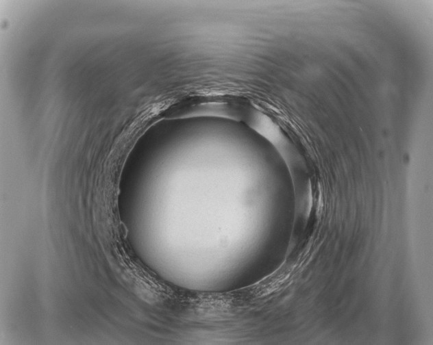 X0000087551153200705041321