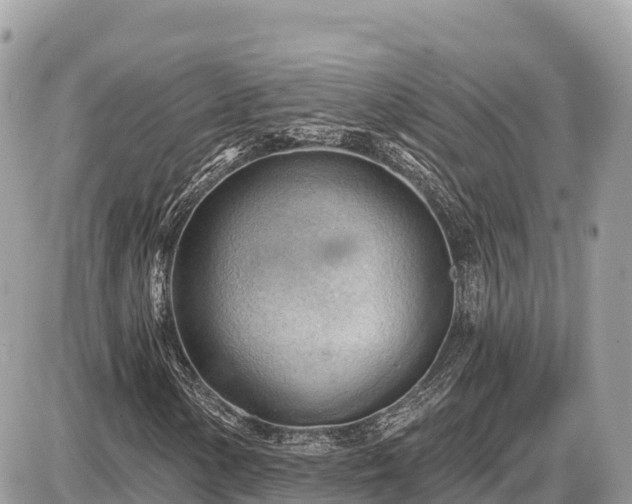 X0000087551154200705041321