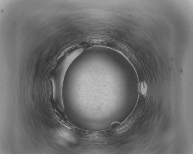 X0000087551155200705041321