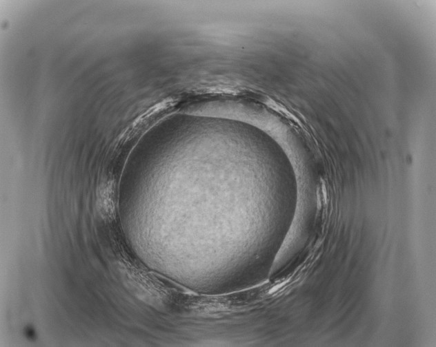 X0000087551156200705041321