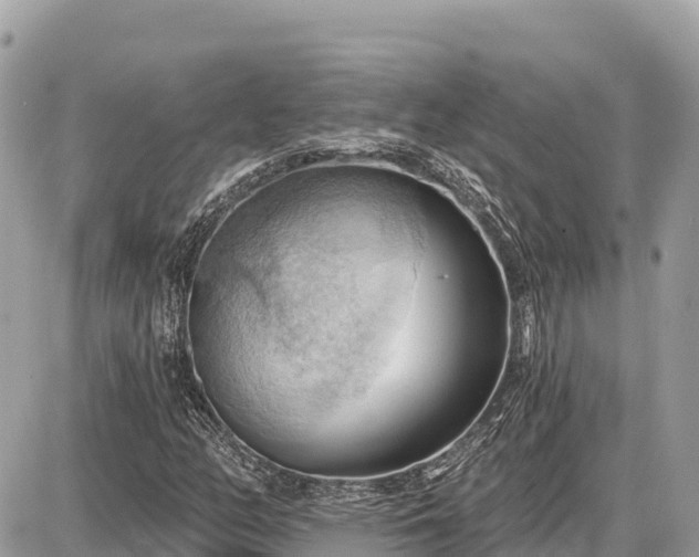 X0000087551158200705041321