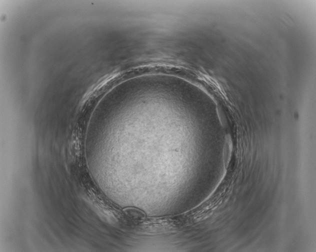 X0000087551159200705041321